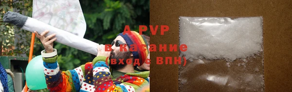 прущие крисы Абаза