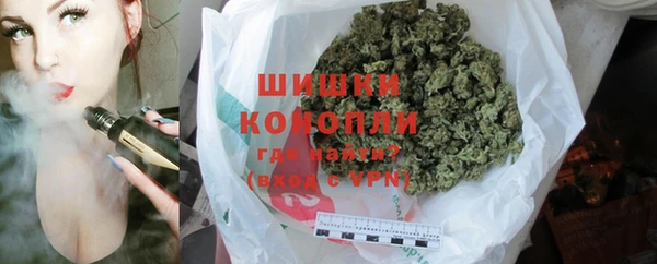 молекула духа Гвардейск