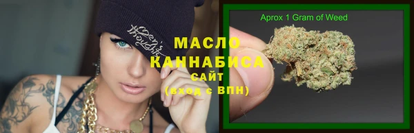 СК Гатчина