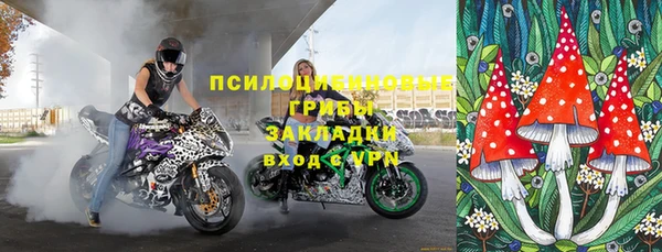 стаф Россошь
